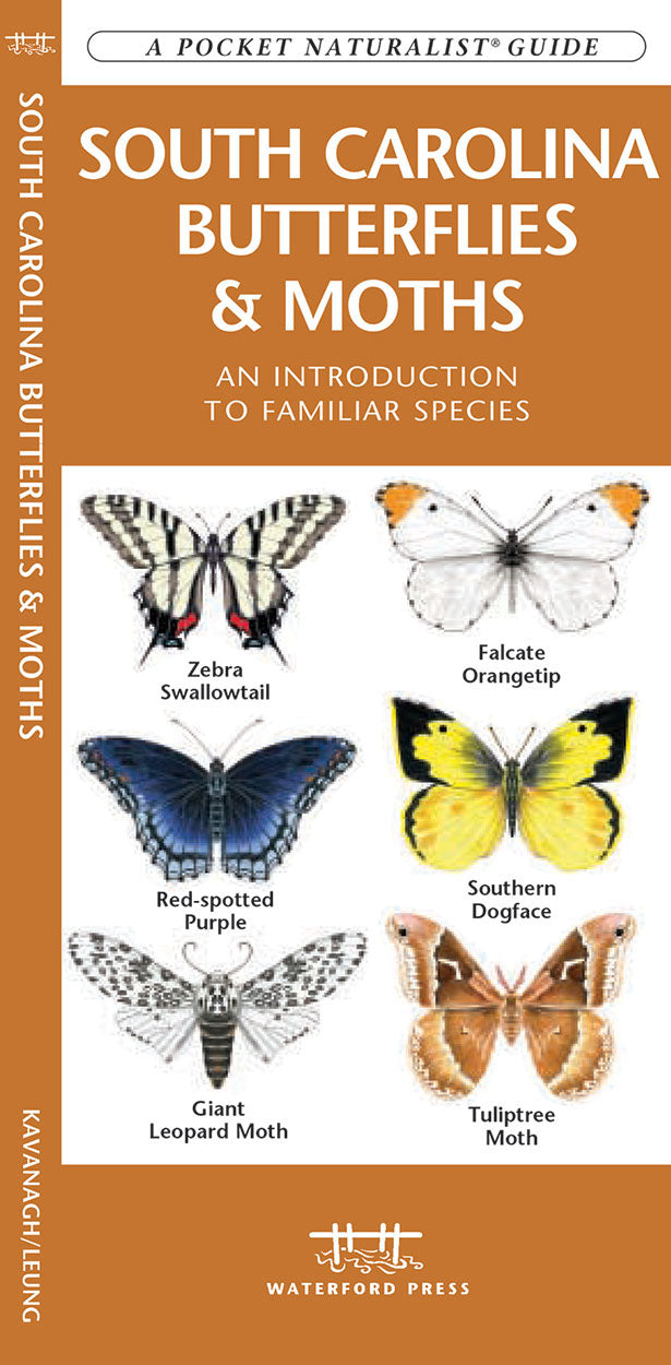 South Carolina Butterflies & Moths Pocket Guide