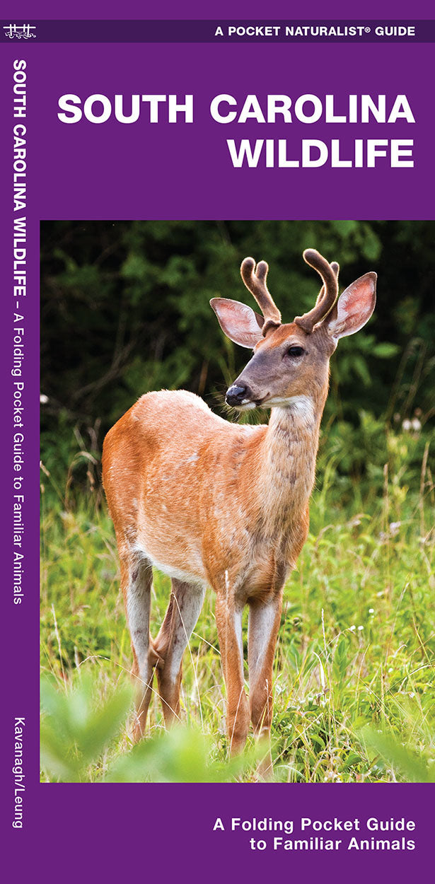 South Carolina Wildlife Pocket Guide - Birds Choice