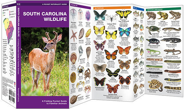 South Carolina Wildlife Pocket Guide - Birds Choice