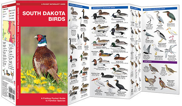 South Dakota Birds Pocket Guide - Birds Choice