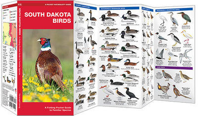 South Dakota Birds Pocket Guide