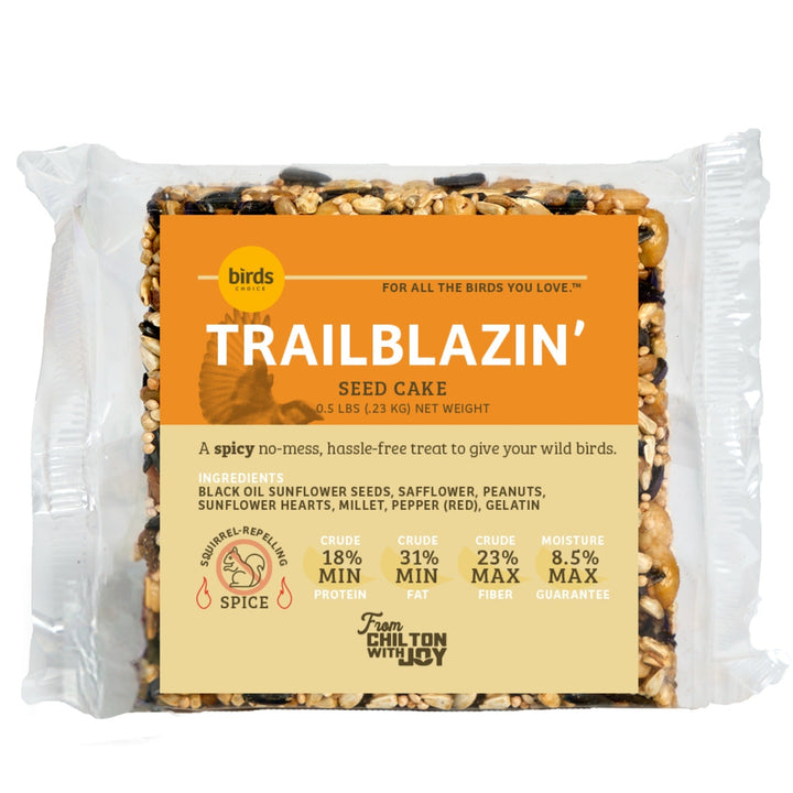 Trailblazin&