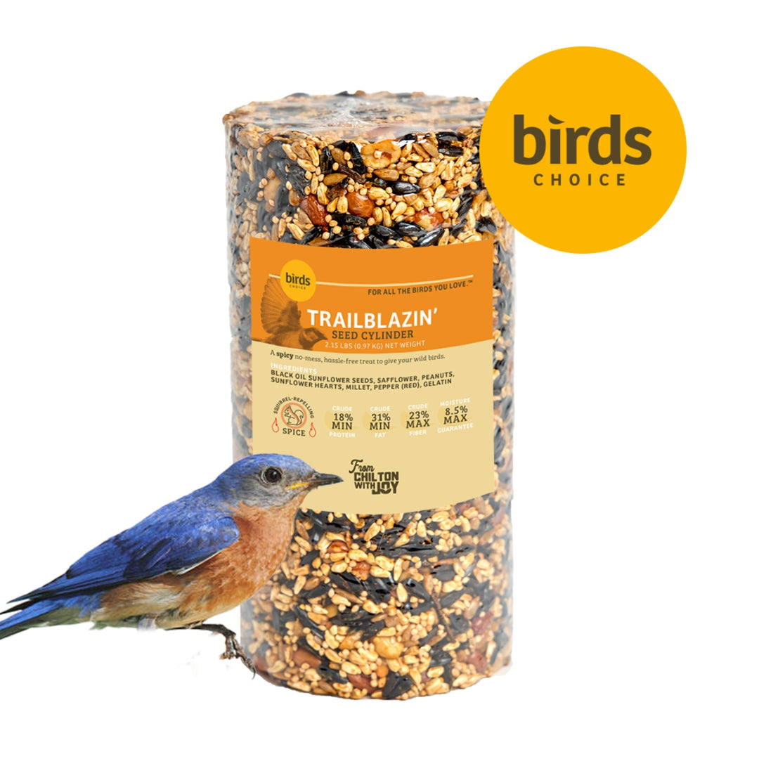 Trailblazin' Seed Cylinder - Small - Birds Choice