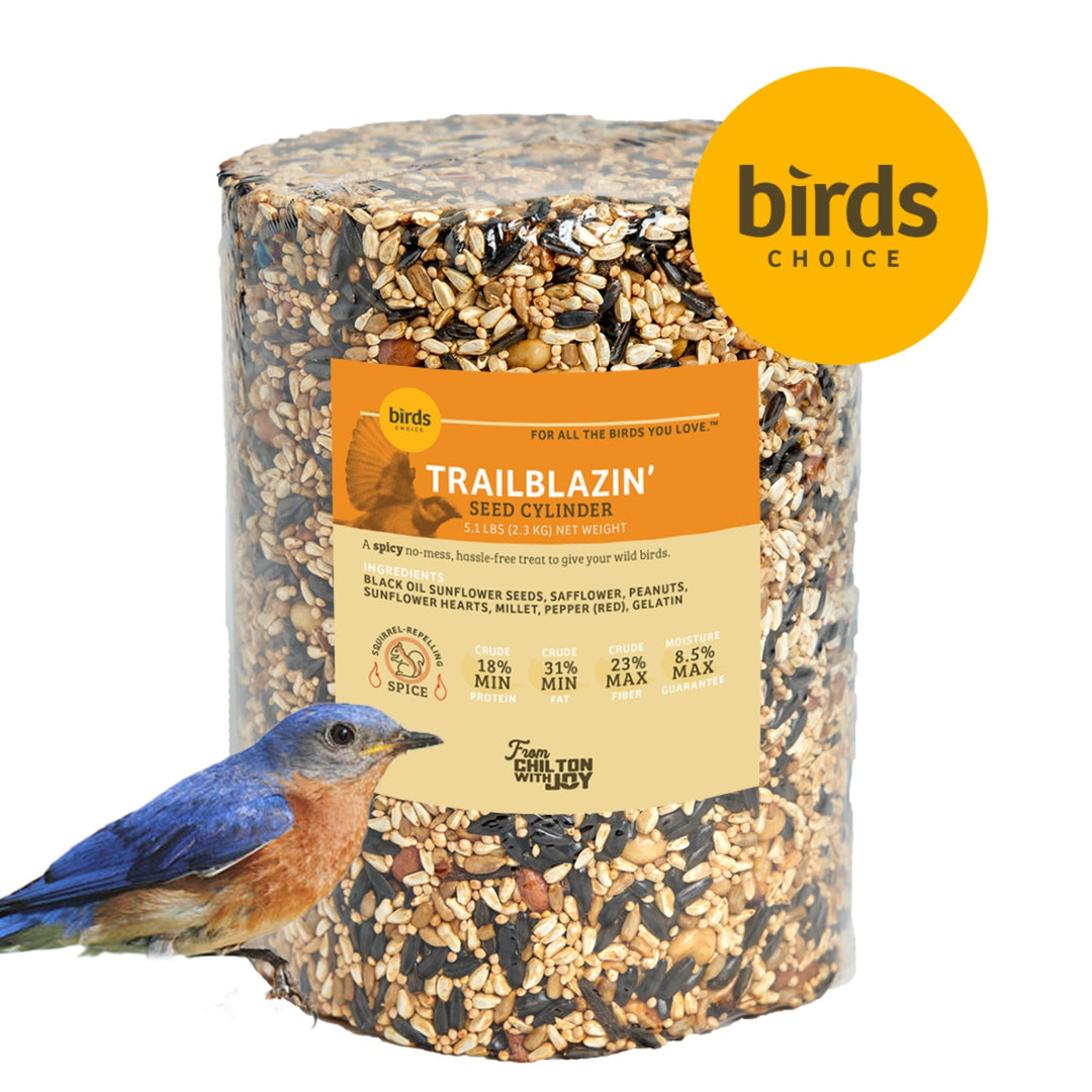 Trailblazin' Seed Cylinder - Large - Birds Choice
