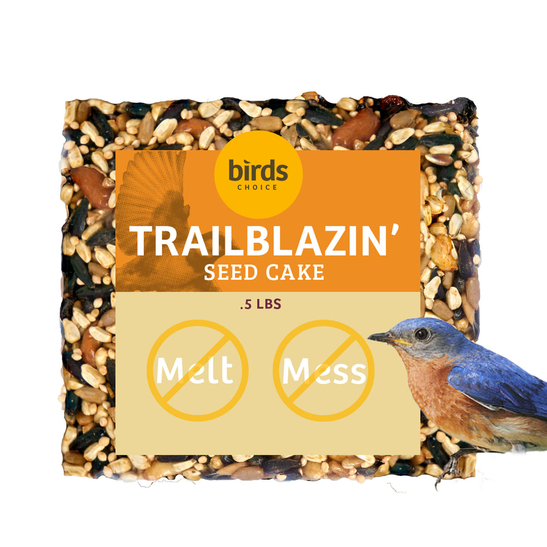 Trailblazin' Seed Cake - Birds Choice