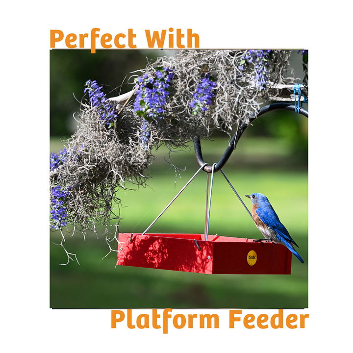 Hot Red Pepper No Melt Suet - 12 Pack - Birds Choice