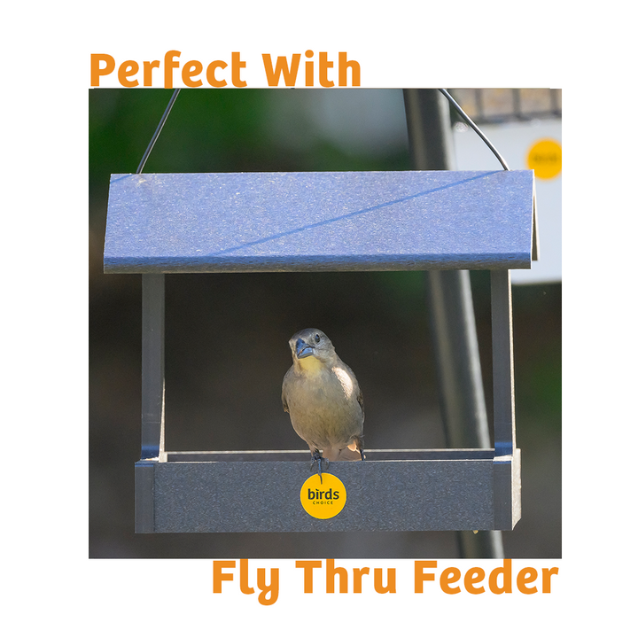 Hot Red Pepper No Melt Suet - Birds Choice