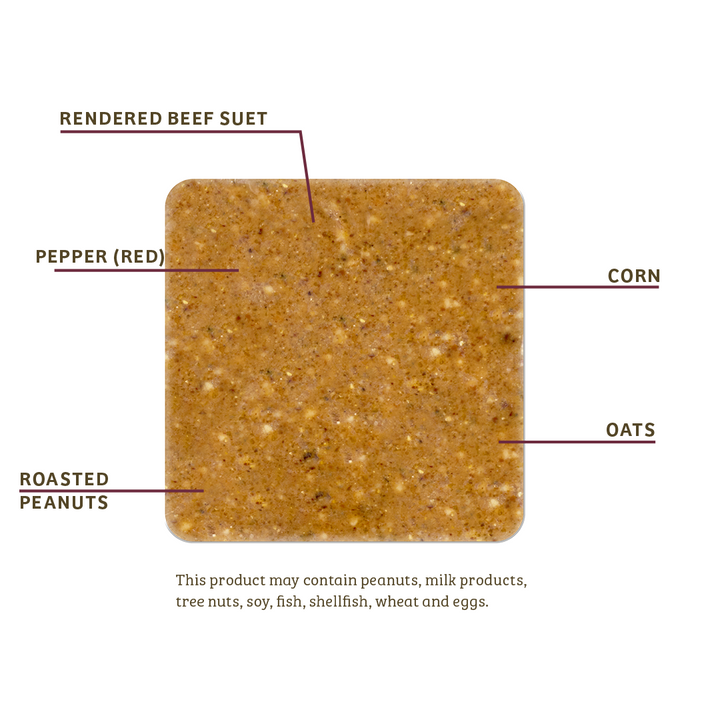 Hot Red Pepper No Melt Suet - Birds Choice