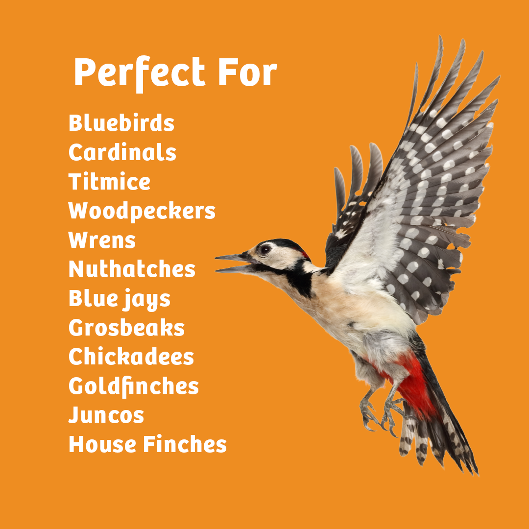 Hot Red Pepper No Melt Suet - 12 Pack - Birds Choice