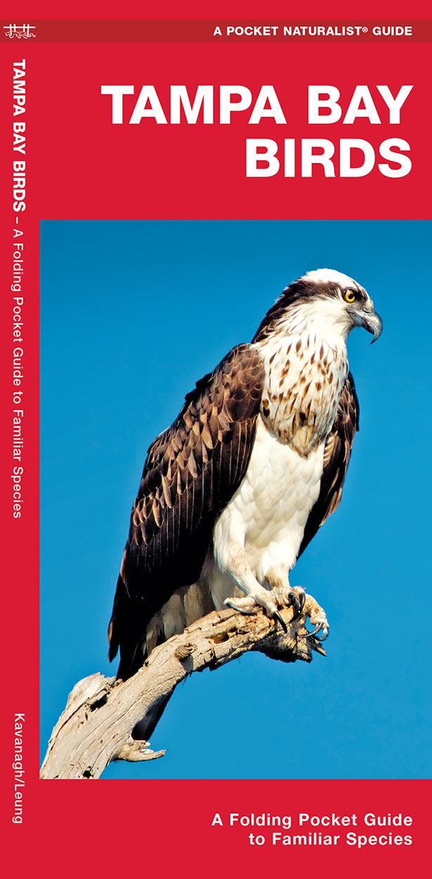 Tampa Bay Birds Pocket Guide - Birds Choice