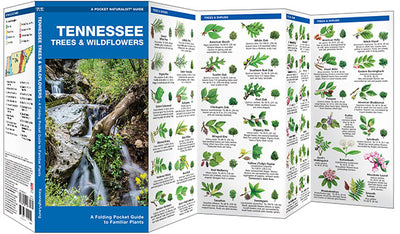 Tennessee Trees & Wildflowers Pocket Guide