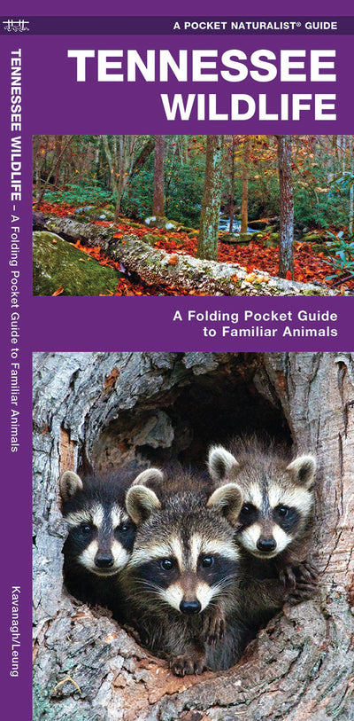 Tennessee Wildlife Pocket Guide