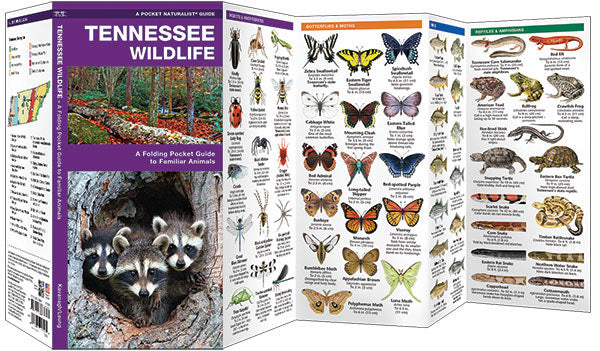 Tennessee Wildlife Pocket Guide