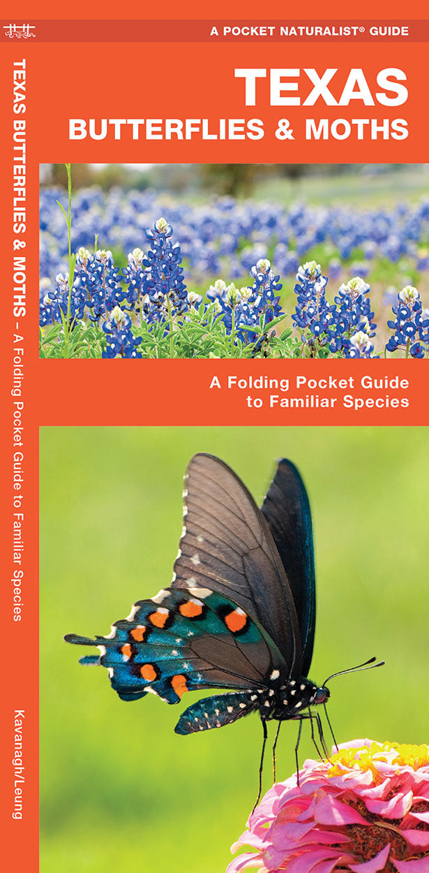 Texas Butterflies & Moths Pocket Guide - Birds Choice