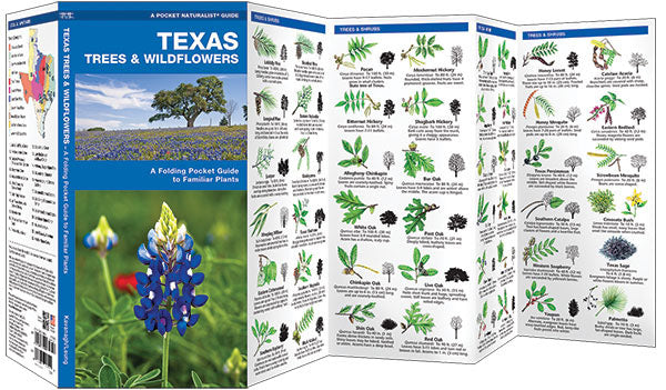 Texas Trees &amp; Wildflowers Pocket Guide - Birds Choice