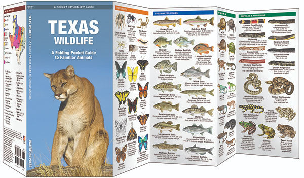 Texas Wildlife Pocket Guide - Birds Choice