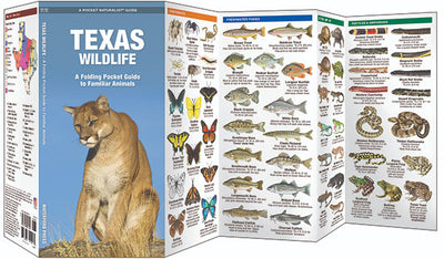 Texas Wildlife Pocket Guide