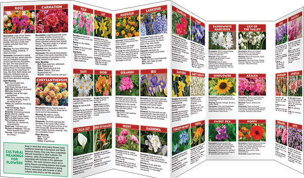 The Language Of Flowers Pocket Guide