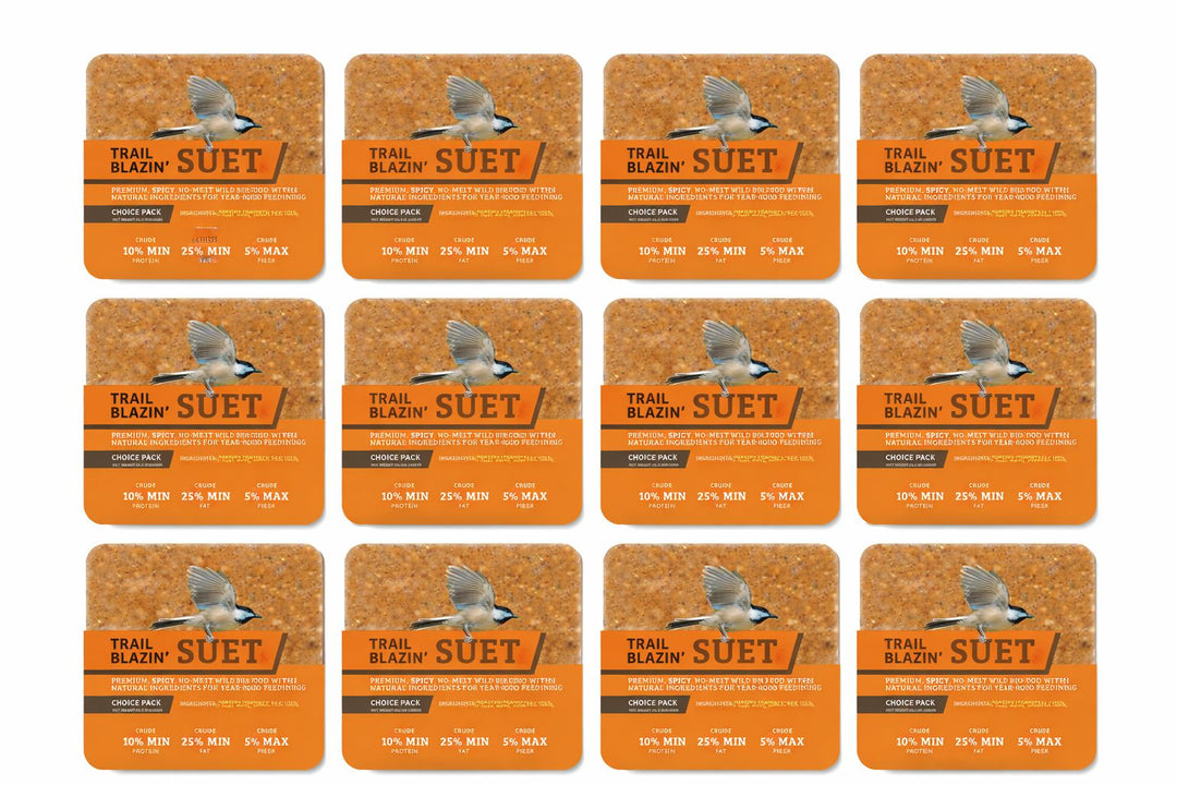 Hot Red Pepper No Melt Suet - 12 Pack - Birds Choice