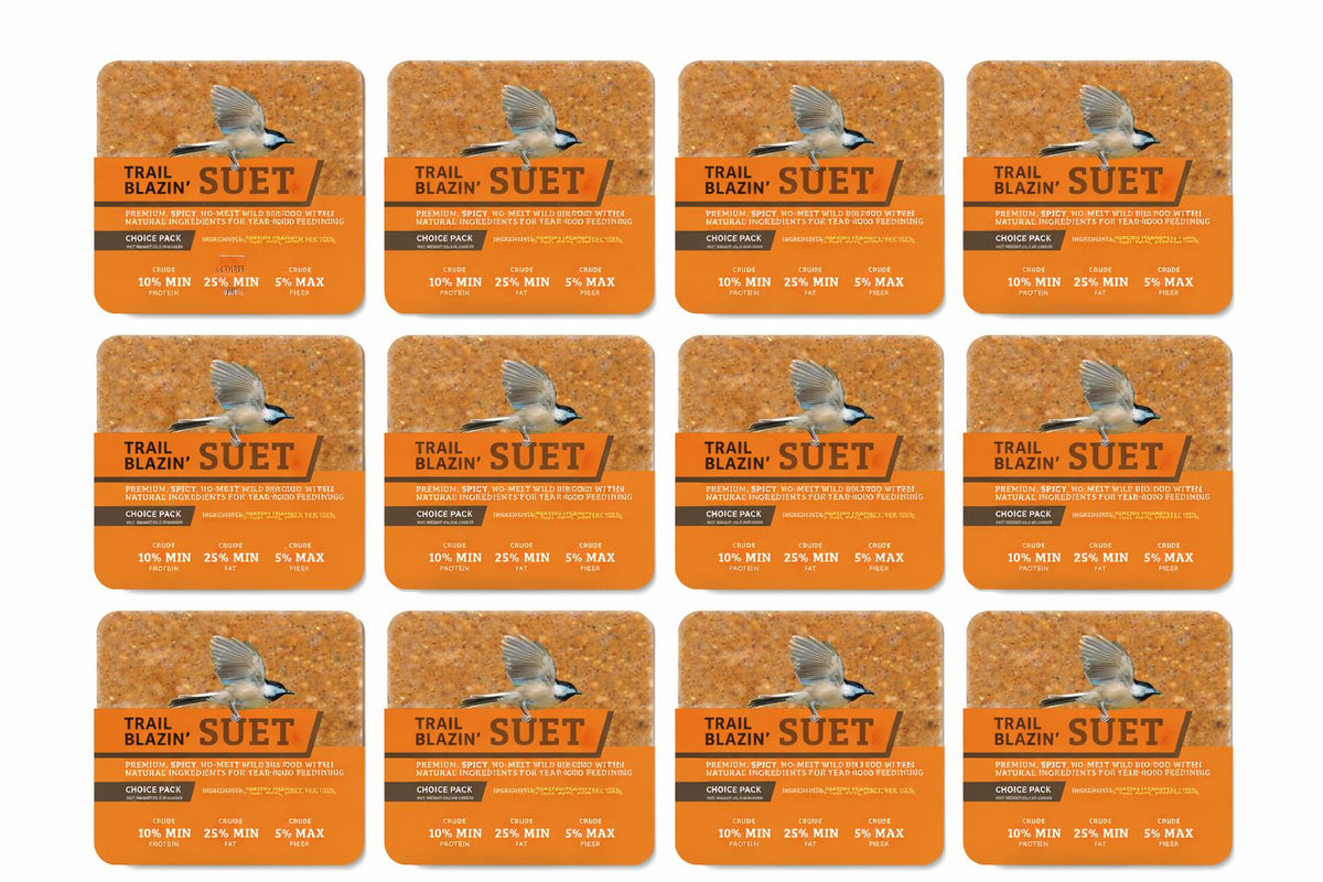 Hot Red Pepper No Melt Suet - 12 Pack - Birds Choice