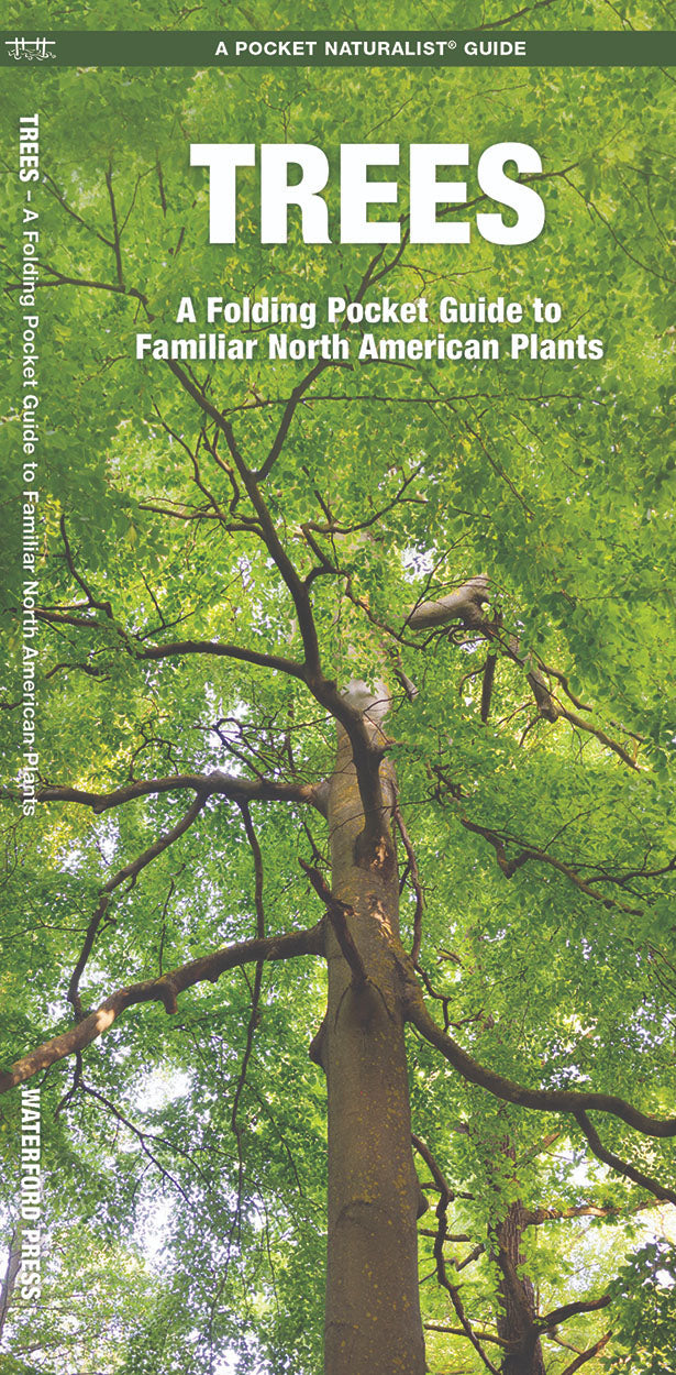 Tree Location Guide Identifying Trees Trees Of North America Canadian Woodworking