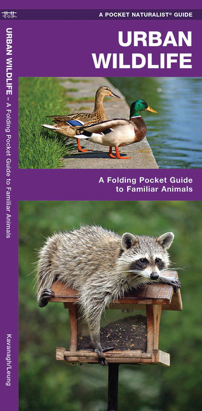 Urban Wildlife Pocket Guide