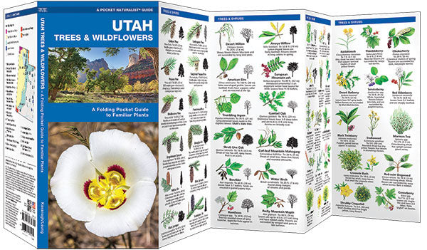 Utah Trees &amp; Wildflowers Pocket Guide - Birds Choice