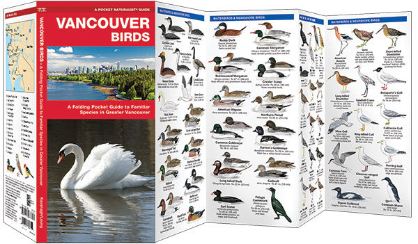 Vancouver Birds Pocket Guide