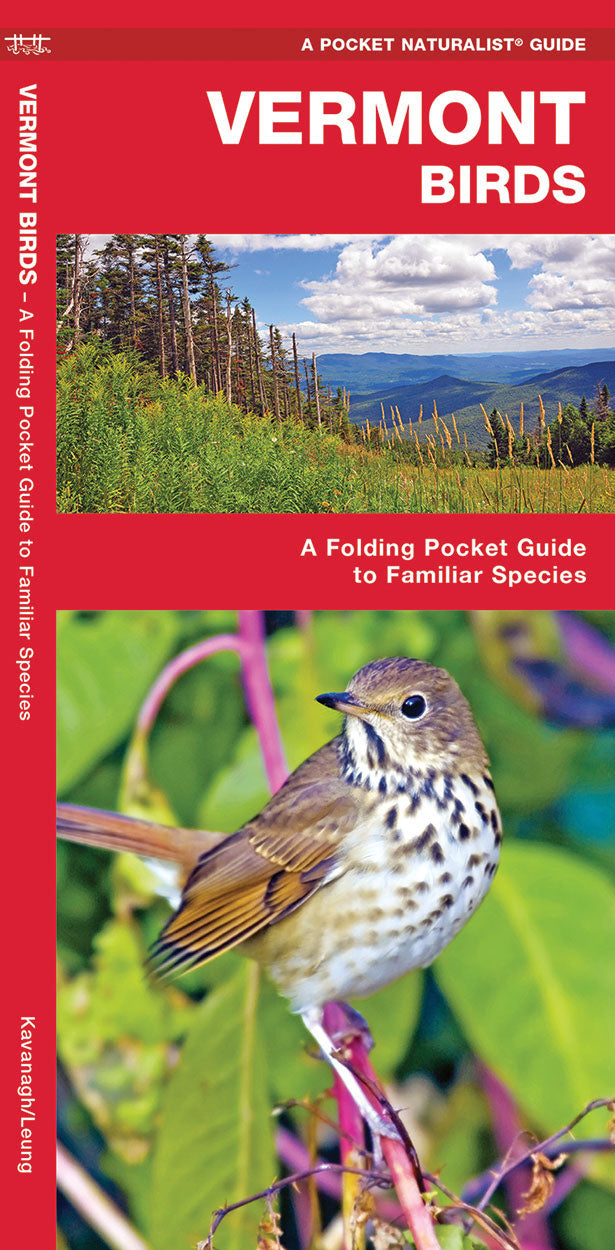 Vermont Birds Pocket Guide - Birds Choice