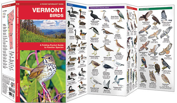 Vermont Birds Pocket Guide - Birds Choice