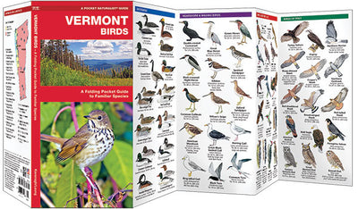 Vermont Birds Pocket Guide