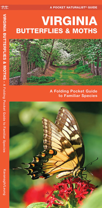 Virginia Butterflies & Moths Pocket Guide