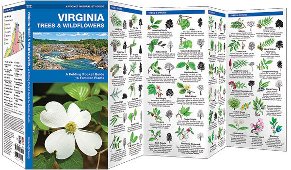 Virginia Trees & Wildflowers Pocket Guide