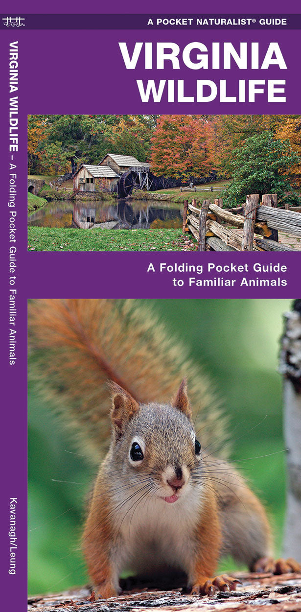 Virginia Wildlife Pocket Guide