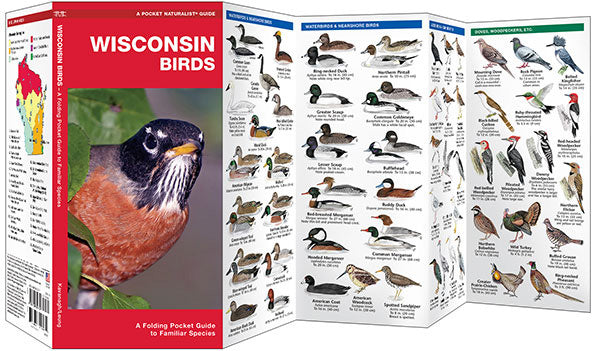 Wisconsin Birds Pocket Guide - Birds Choice