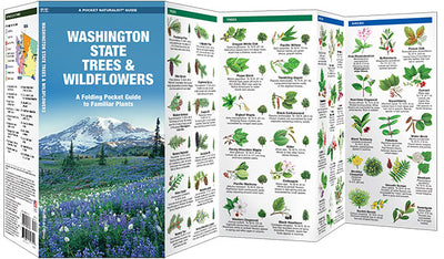 Washington State Trees & Wildflowers Pocket Guide