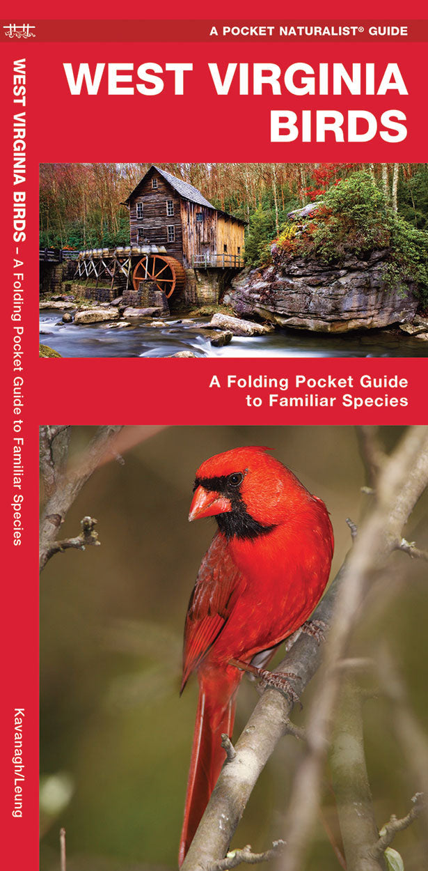 West Virginia Birds Pocket Guide - Birds Choice