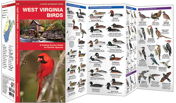 West Virginia Birds Pocket Guide - Birds Choice