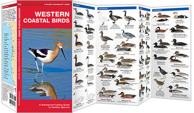 Western Coastal Birds Pocket Guide