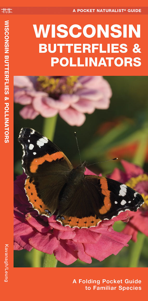 Wisconsin Butterflies & Pollinators Pocket Guide - Birds Choice