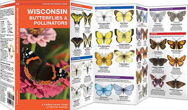 Wisconsin Butterflies &amp; Pollinators Pocket Guide - Birds Choice
