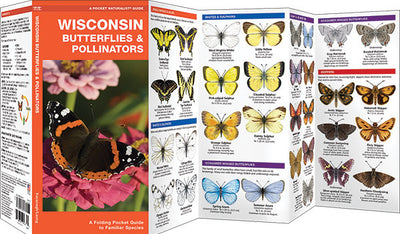 Wisconsin Butterflies & Pollinators Pocket Guide