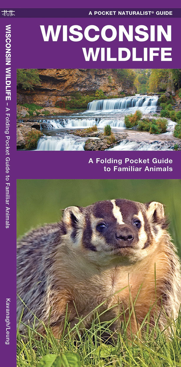 Wisconsin Wildlife Pocket Guide