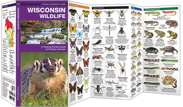 Wisconsin Wildlife Pocket Guide - Birds Choice