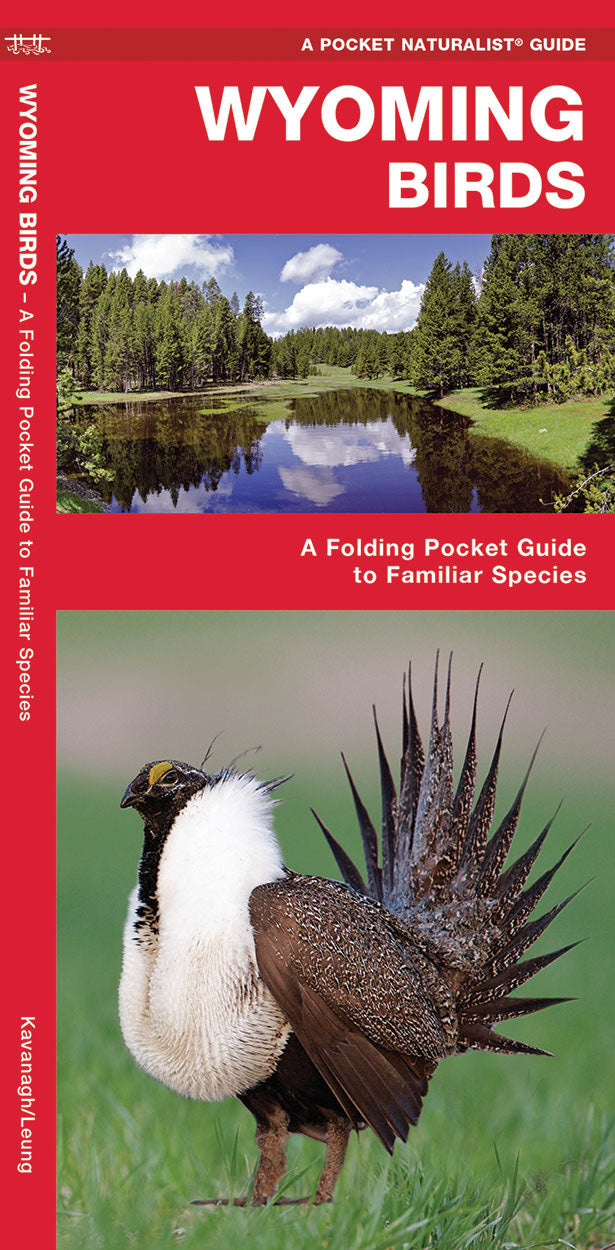 Wyoming Birds Pocket Guide - Birds Choice