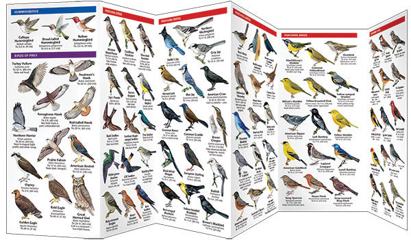 Wyoming Birds Pocket Guide - Birds Choice