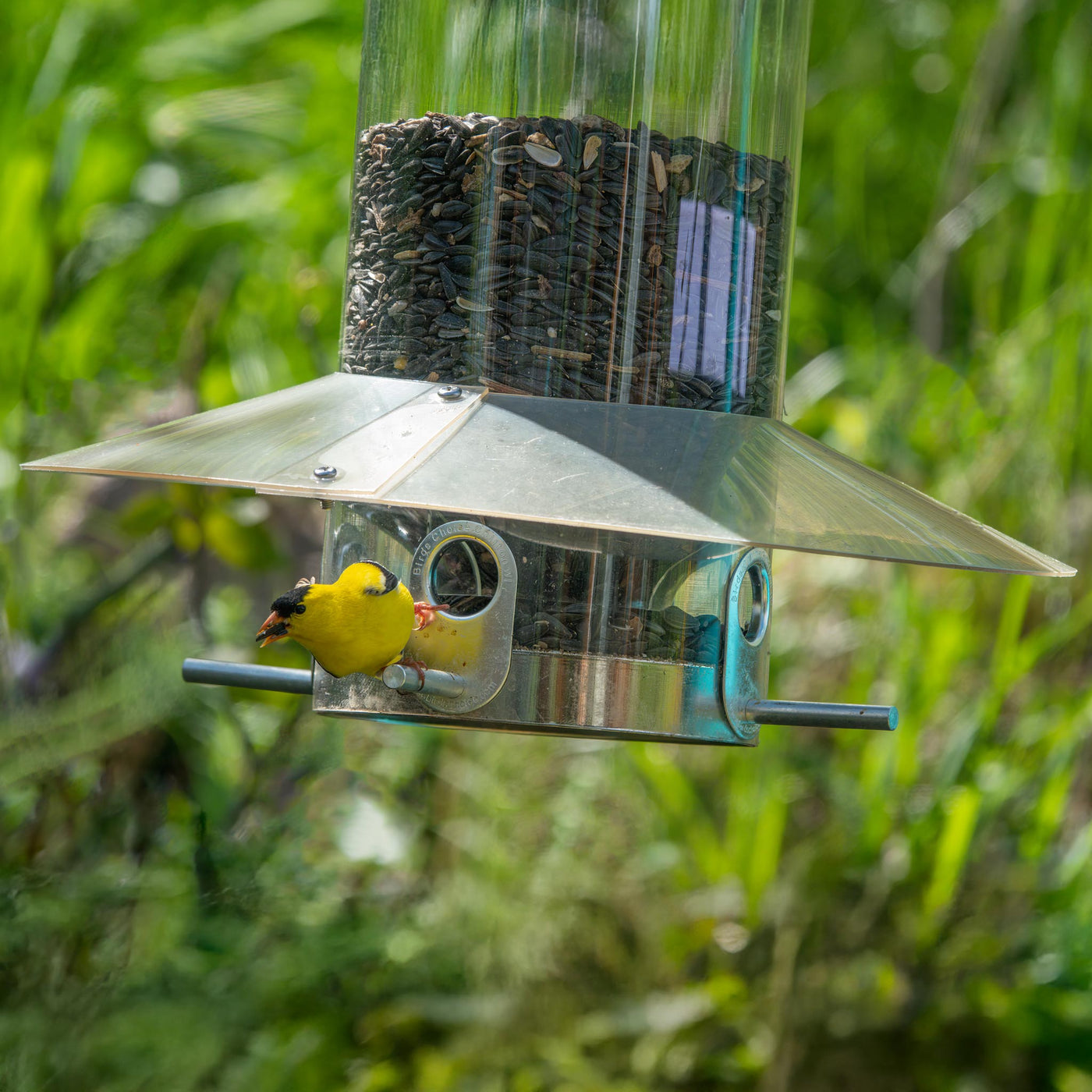 Hanging Classic Bird Feeder with Baffle Weather Guard 12 Inch - Birds Choice
