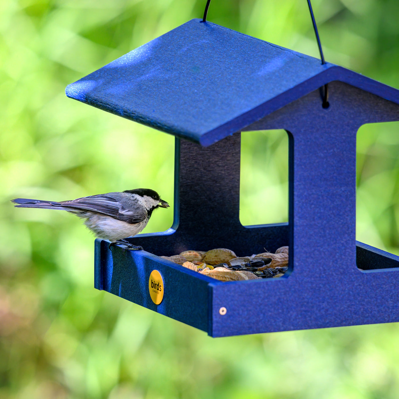 Recycled Plastic Fly-Thru Feeder in Blue - Birds Choice