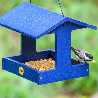 Recycled Plastic Fly-Thru Feeder in Blue - Birds Choice