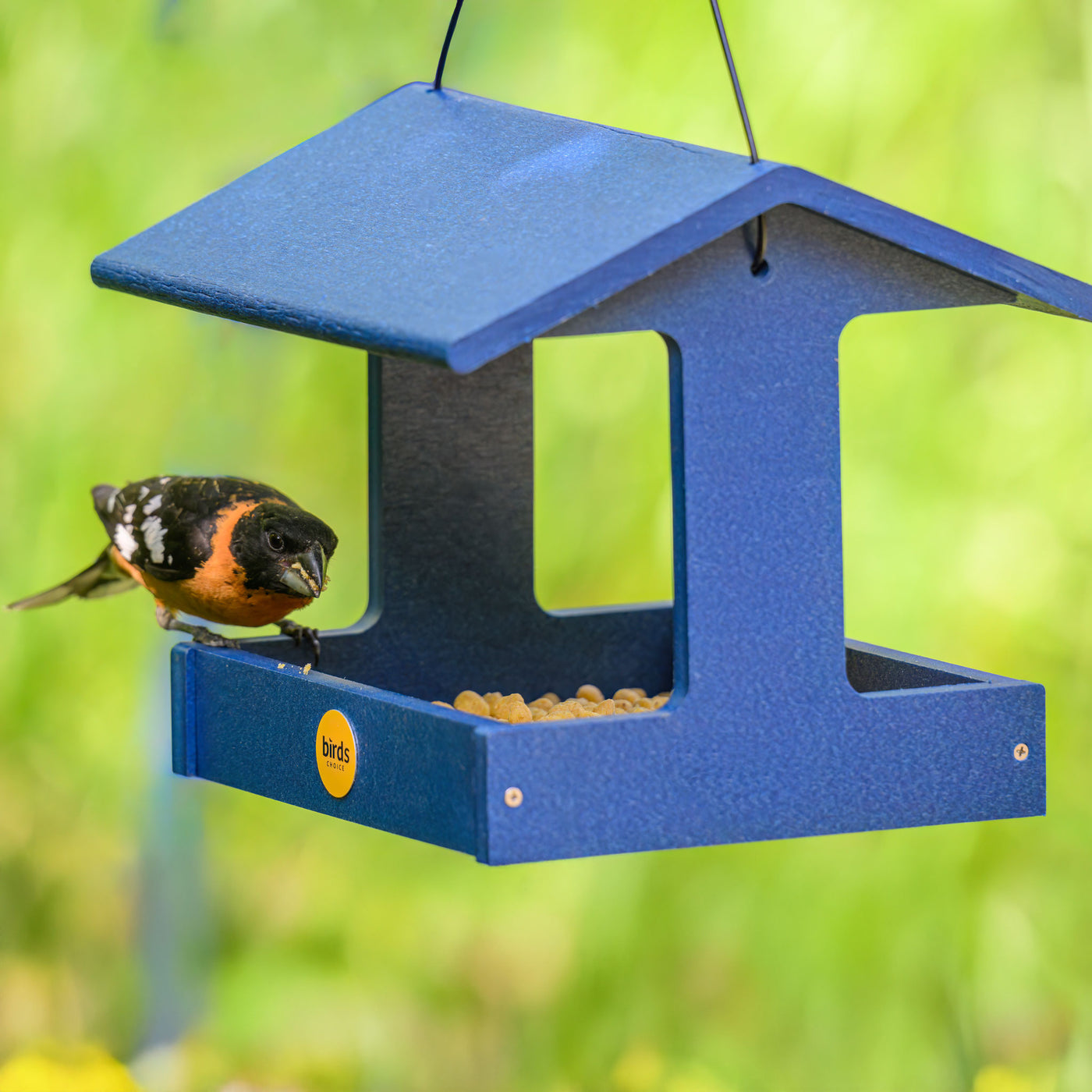 Recycled Plastic Fly-Thru Feeder in Blue - Birds Choice